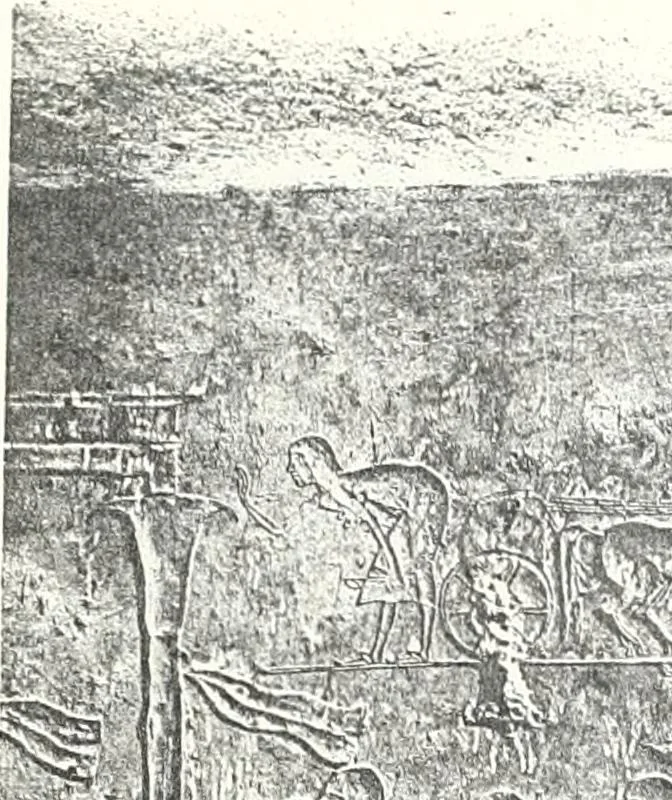 An illustration from The rock tombs of El Amarna, 1903, leaf 148