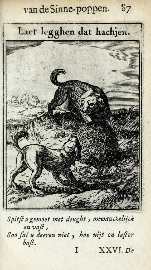 An illustration from Roemer Visschers Zinne-poppen : alle verciert met rÿmen en sommighe met proze, 1669, leaf 201
