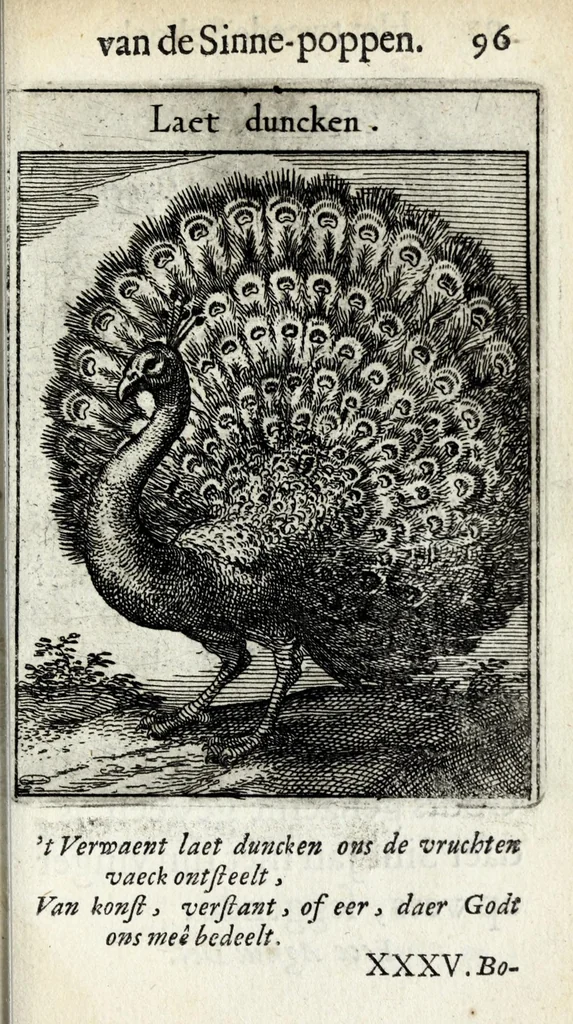 An illustration from Roemer Visschers Zinne-poppen : alle verciert met rÿmen en sommighe met proze, 1669, leaf 219