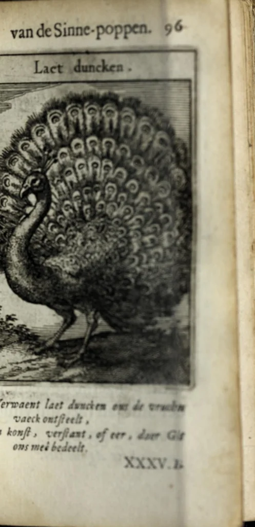 An illustration from Roemer Visschers Zinne-poppen : alle verciert met rÿmen en sommighe met proze, 1669, leaf 221