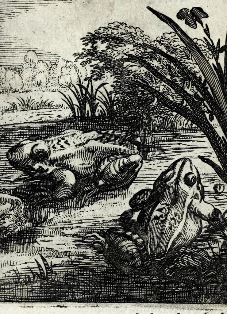 An illustration from Roemer Visschers Zinne-poppen : alle verciert met rÿmen en sommighe met proze, 1669, leaf 241