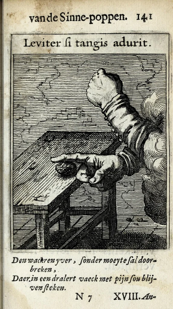 An illustration from Roemer Visschers Zinne-poppen : alle verciert met rÿmen en sommighe met proze, 1669, leaf 313