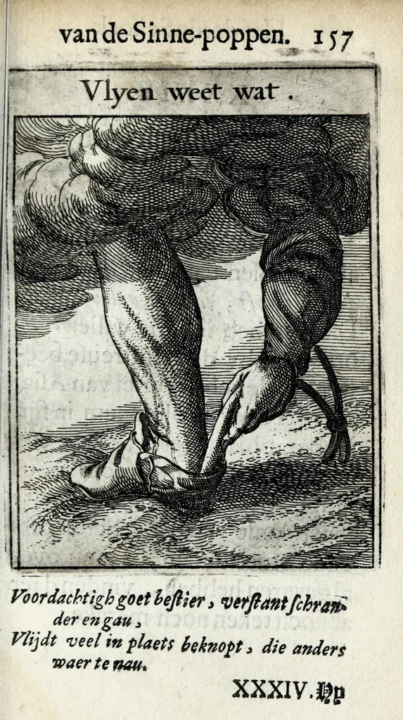 An illustration from Roemer Visschers Zinne-poppen : alle verciert met rÿmen en sommighe met proze, 1669, leaf 345
