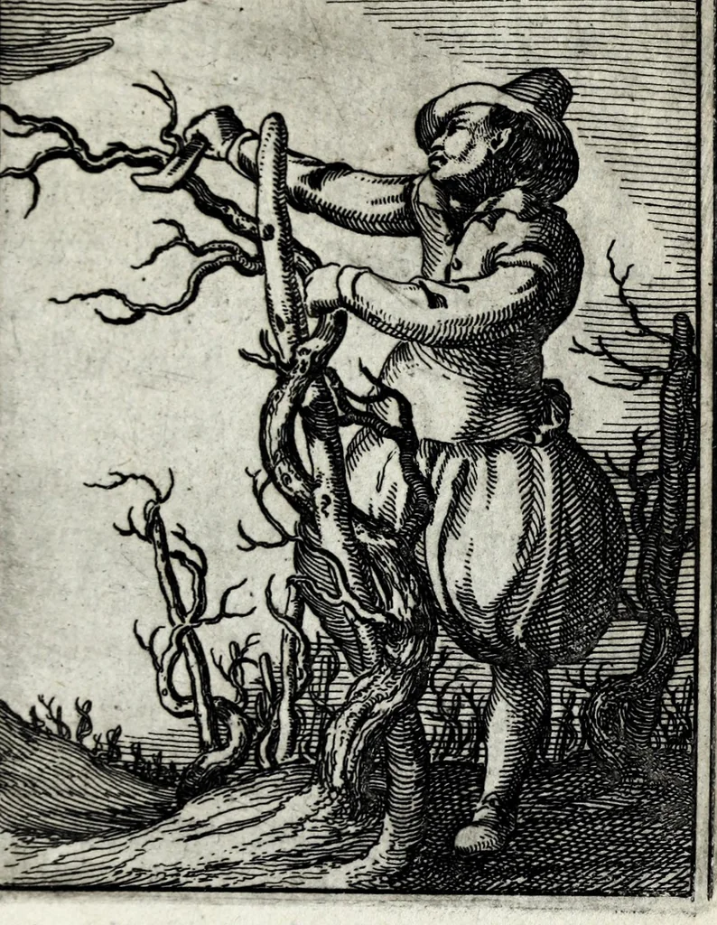An illustration from Roemer Visschers Zinne-poppen : alle verciert met rÿmen en sommighe met proze, 1669, leaf 361