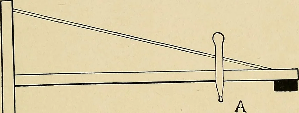 An illustration from The Roentgen rays in medicine and surgery as an aid in diagnosis and as a therapeutic agent : designed for the use of practitioners and students, 1901, leaf 100
