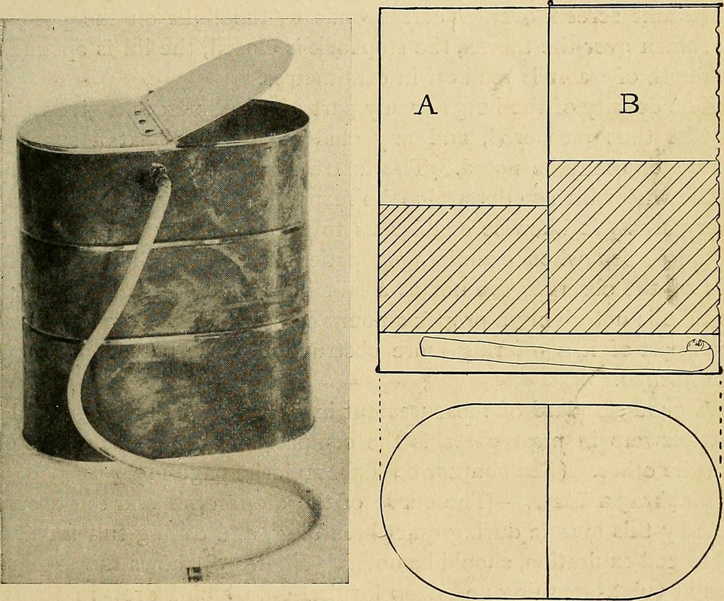 An illustration from The Roentgen rays in medicine and surgery as an aid in diagnosis and as a therapeutic agent : designed for the use of practitioners and students, 1901, leaf 134