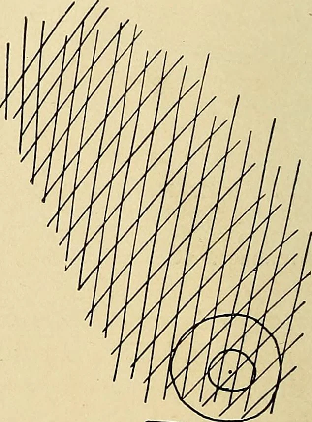 An illustration from The Roentgen rays in medicine and surgery as an aid in diagnosis and as a therapeutic agent : designed for the use of practitioners and students, 1901, leaf 181
