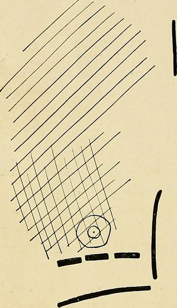 An illustration from The Roentgen rays in medicine and surgery as an aid in diagnosis and as a therapeutic agent : designed for the use of practitioners and students, 1901, leaf 183