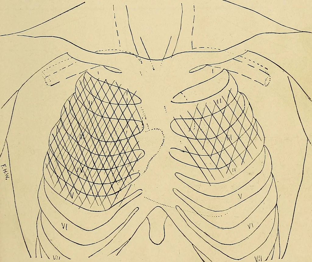 An illustration from The Roentgen rays in medicine and surgery as an aid in diagnosis and as a therapeutic agent : designed for the use of practitioners and students, 1901, leaf 202