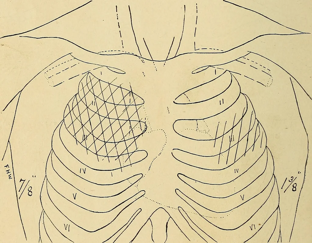 An illustration from The Roentgen rays in medicine and surgery as an aid in diagnosis and as a therapeutic agent : designed for the use of practitioners and students, 1901, leaf 203