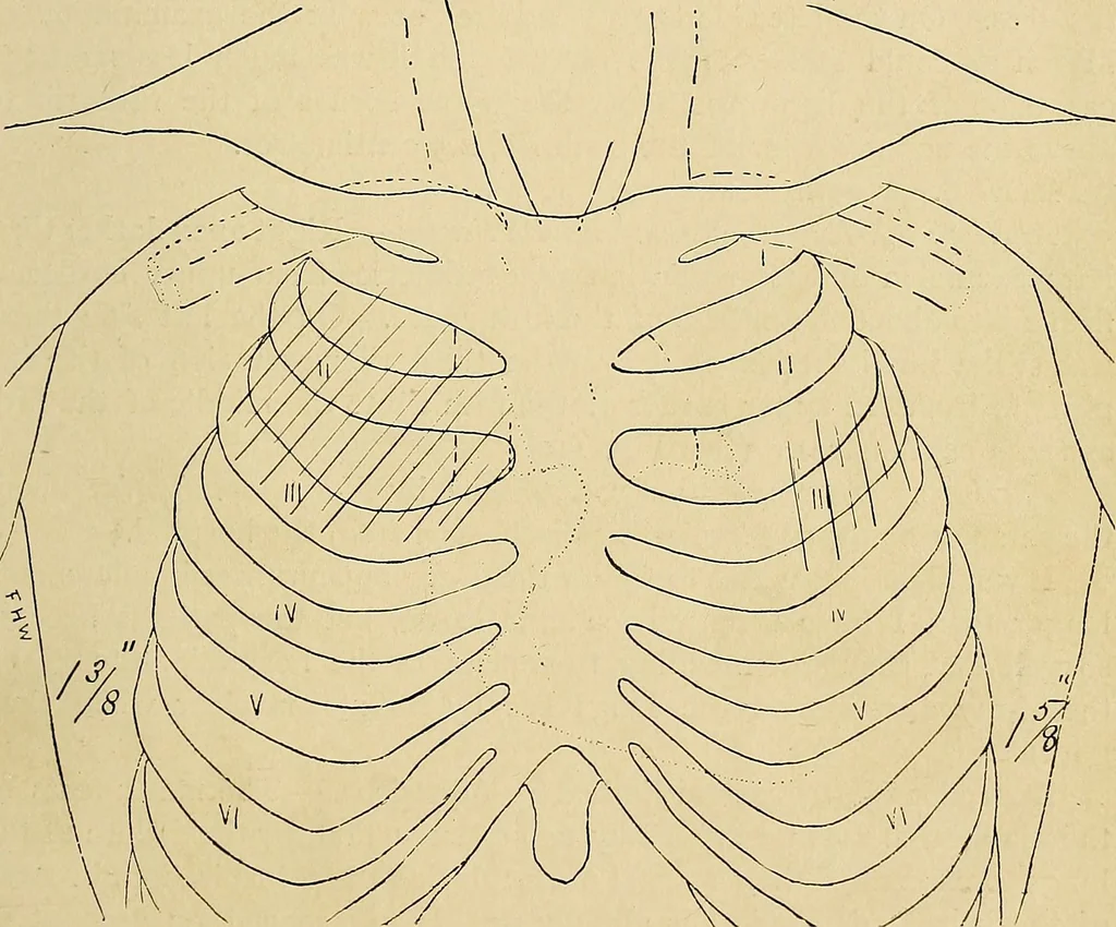 An illustration from The Roentgen rays in medicine and surgery as an aid in diagnosis and as a therapeutic agent : designed for the use of practitioners and students, 1901, leaf 204