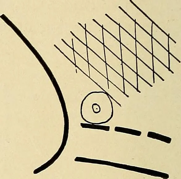 An illustration from The Roentgen rays in medicine and surgery as an aid in diagnosis and as a therapeutic agent : designed for the use of practitioners and students, 1901, leaf 207