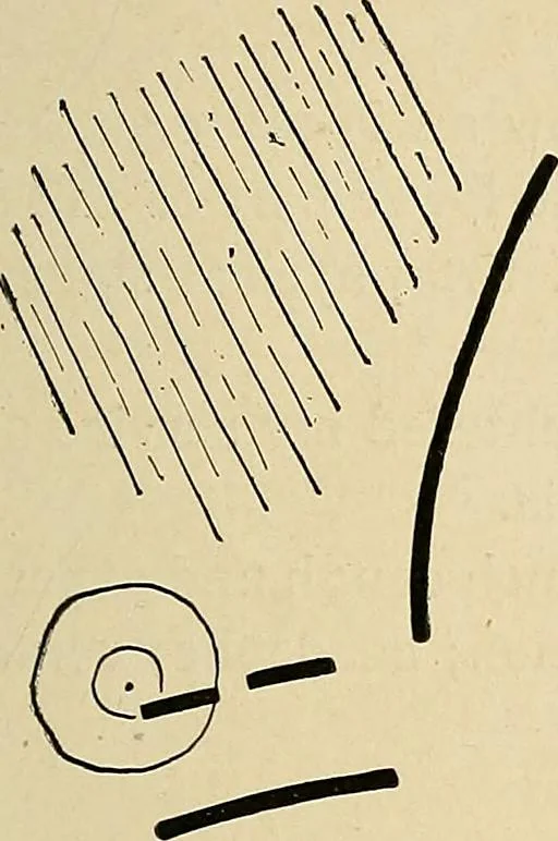 An illustration from The Roentgen rays in medicine and surgery as an aid in diagnosis and as a therapeutic agent : designed for the use of practitioners and students, 1901, leaf 214