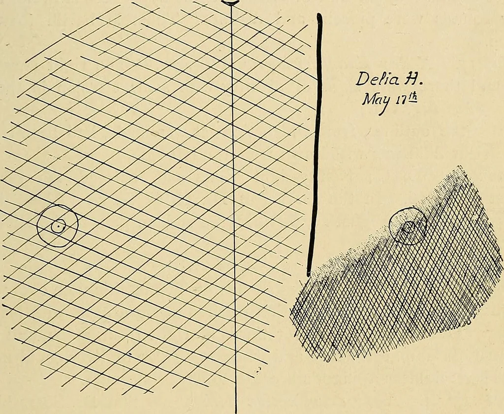An illustration from The Roentgen rays in medicine and surgery as an aid in diagnosis and as a therapeutic agent : designed for the use of practitioners and students, 1901, leaf 258