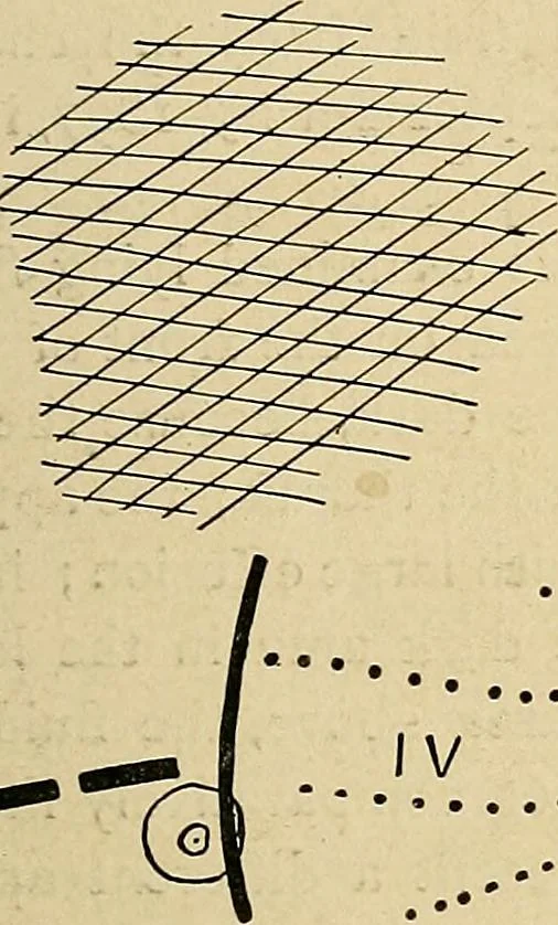 An illustration from The Roentgen rays in medicine and surgery as an aid in diagnosis and as a therapeutic agent : designed for the use of practitioners and students, 1901, leaf 262