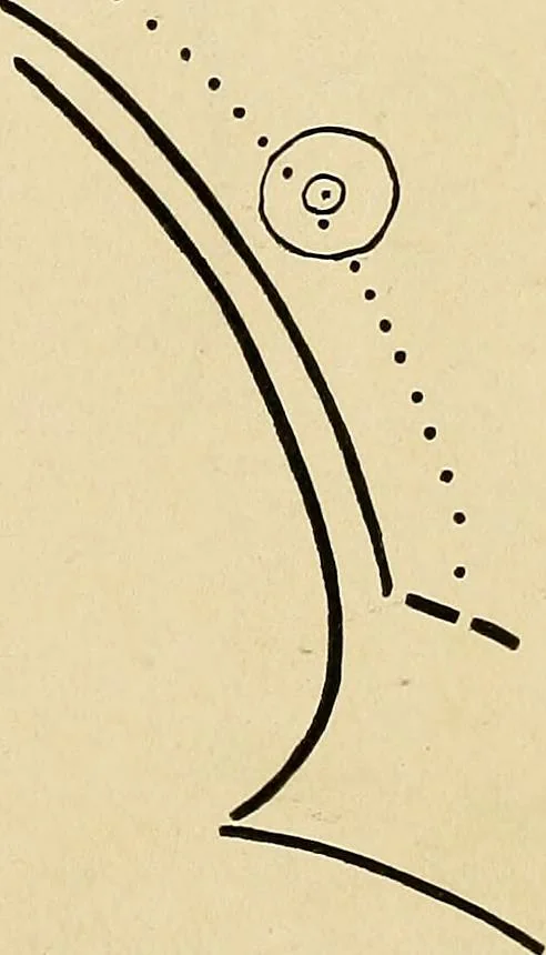 An illustration from The Roentgen rays in medicine and surgery as an aid in diagnosis and as a therapeutic agent : designed for the use of practitioners and students, 1901, leaf 286