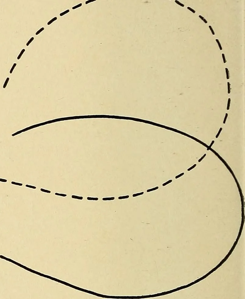 An illustration from The Roentgen rays in medicine and surgery as an aid in diagnosis and as a therapeutic agent : designed for the use of practitioners and students, 1901, leaf 383