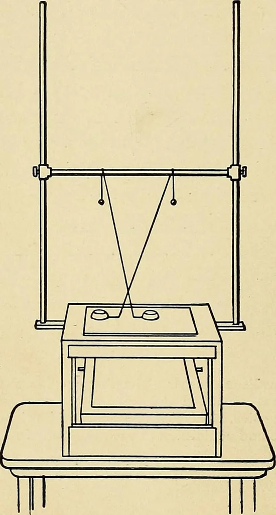 An illustration from The Roentgen rays in medicine and surgery as an aid in diagnosis and as a therapeutic agent : designed for the use of practitioners and students, 1901, leaf 551