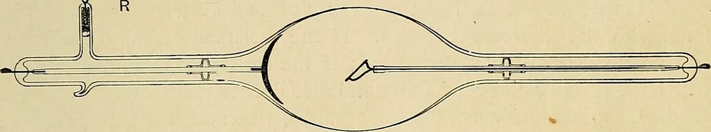 An illustration from The Roentgen rays in medicine and surgery as an aid in diagnosis and as a therapeutic agent : designed for the use of practitioners and students, 1901, leaf 76