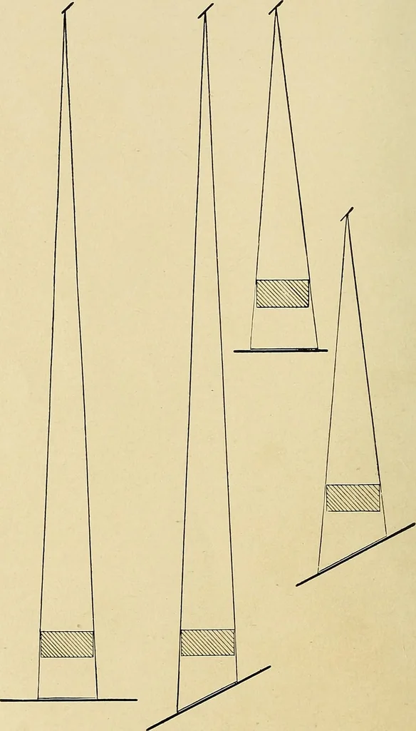 An illustration from The Roentgen rays in medicine and surgery as an aid in diagnosis and as a therapeutic agent : designed for the use of practitioners and students, 1901, leaf 99