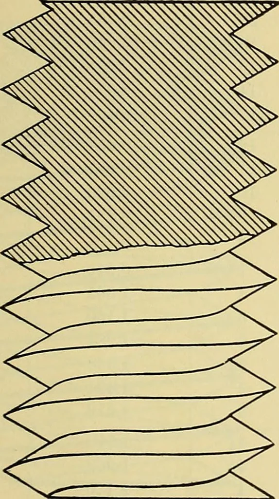 An illustration from Rogers' drawing and design; an educational treatise relating to linear drawing; machine design; working drawings; transmission methods; steam, electrical and metal working machines and parts; lathes; boiler and parts; instruments and their use; tables, etc, 1913, leaf 208
