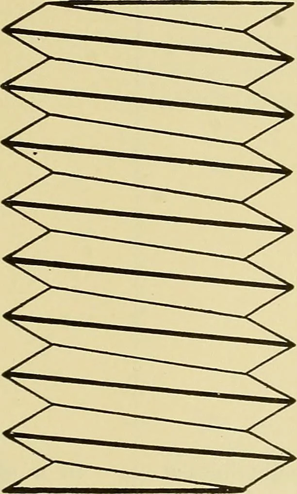 An illustration from Rogers' drawing and design; an educational treatise relating to linear drawing; machine design; working drawings; transmission methods; steam, electrical and metal working machines and parts; lathes; boiler and parts; instruments and their use; tables, etc, 1913, leaf 210