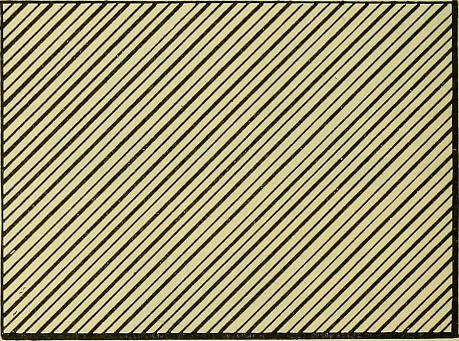 An illustration from Rogers' drawing and design; an educational treatise relating to linear drawing; machine design; working drawings; transmission methods; steam, electrical and metal working machines and parts; lathes; boiler and parts; instruments and their use; tables, etc, 1913, leaf 67