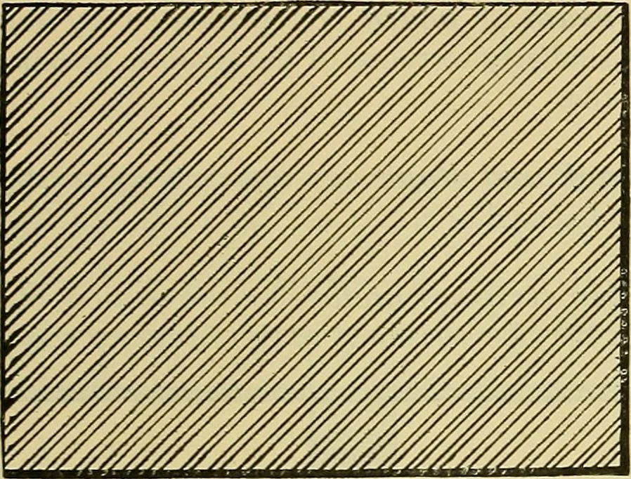 An illustration from Rogers' drawing and design; an educational treatise relating to linear drawing; machine design; working drawings; transmission methods; steam, electrical and metal working machines and parts; lathes; boiler and parts; instruments and their use; tables, etc, 1913, leaf 68