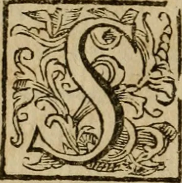 An illustration from Roma antica, 1666, leaf 11