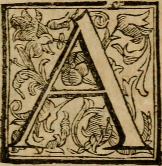 An illustration from Roma antica, 1666, leaf 179
