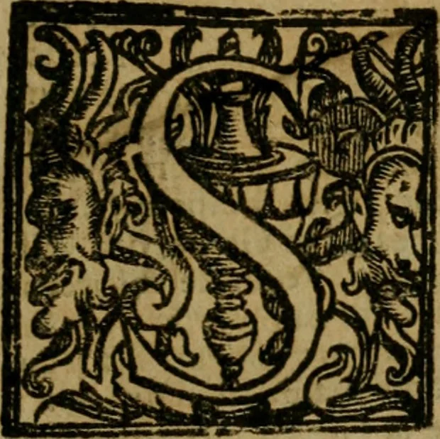 An illustration from Roma antica, 1666, leaf 22