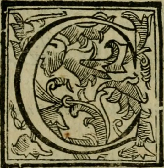An illustration from Roma antica, 1666, leaf 238