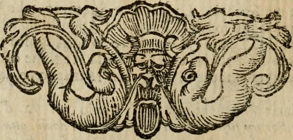 An illustration from Roma antica, 1666, leaf 351