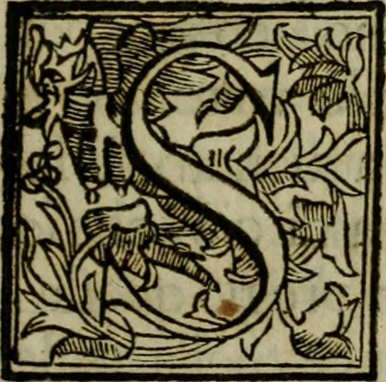 An illustration from Roma antica, 1666, leaf 4