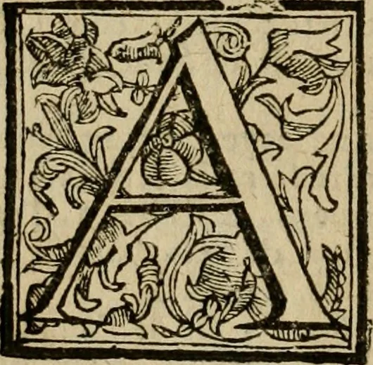 An illustration from Roma antica, 1666, leaf 445
