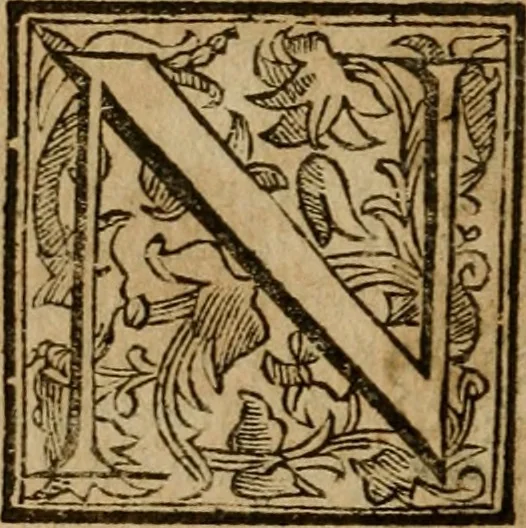 An illustration from Roma antica, 1666, leaf 525