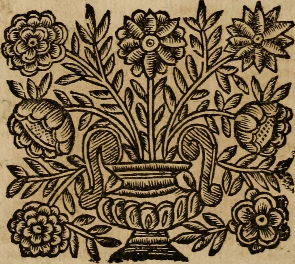 An illustration from Roma antica, 1666, leaf 555