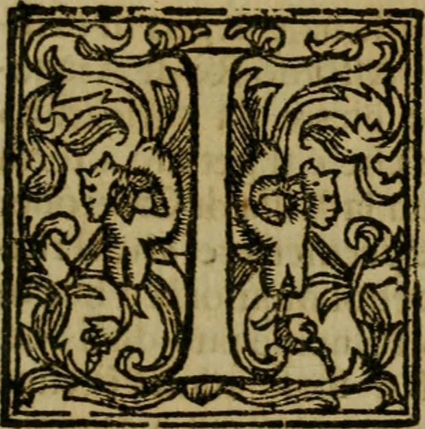 An illustration from Roma antica, 1666, leaf 598