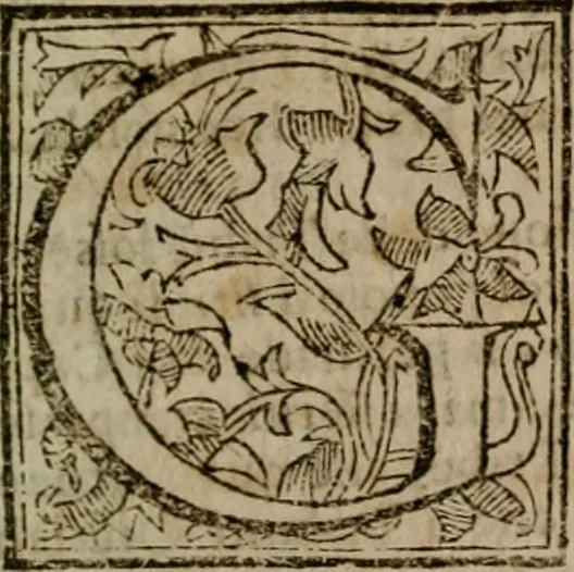 An illustration from Roma antica, 1666, leaf 74