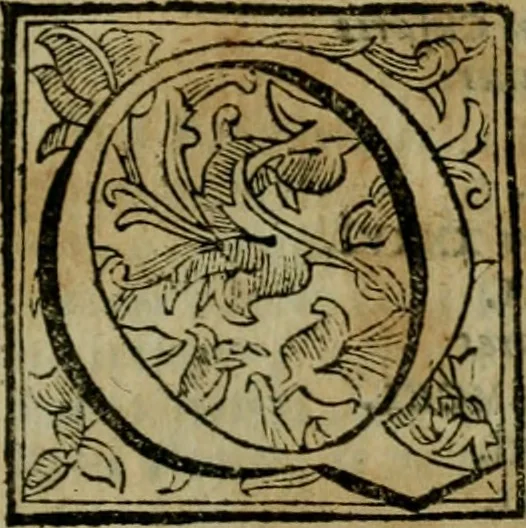 An illustration from Roma antica, 1666, leaf 94
