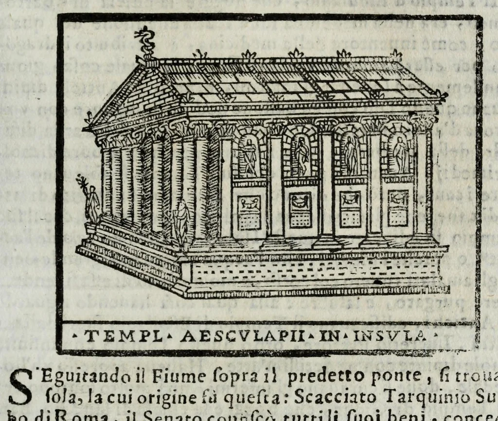 An illustration from Roma antica e moderna : nella quale si contengono chiese, monasterij, hospedali, compagnie, collegij, e seminarij, tempij, teatri, anfiteatri, naumachie, cerchi, fori, curie, palazzi, e statue, librerie, musei, pitture, scolture, & i nomi de gli artefici : indice de' sommi pontefici, imperatori, e duchi : con vna copiosissima tauola, & altre nuoue aggiunte, 1653, leaf 505