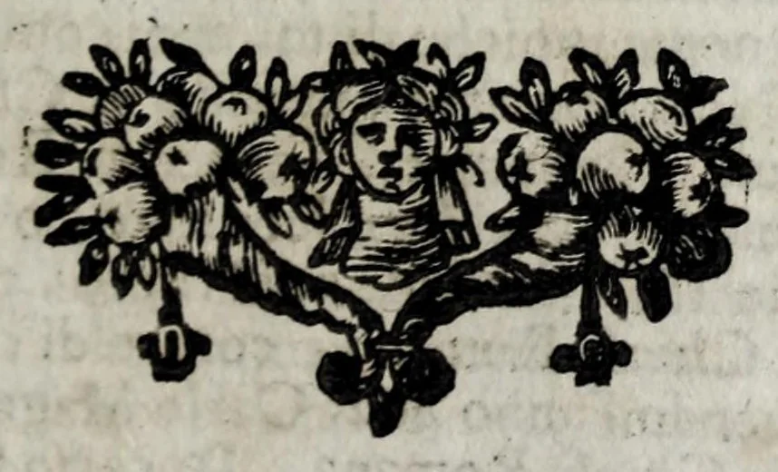 An illustration from Roma antica e moderna : nella quale si contengono chiese, monasterij, hospedali, compagnie, collegij e seminarij : tempij, teatri, anfiteatri, naumachie, cerchi, fori, curie, palazzi e statue : librarie, musei, pitture, scolture, & i nomi de gli artifici : indice de' sommi pontefici, imperatori, rè, e duchi : con vna copiosissima tauola, e aggiunta di tutte le cose notabili fatte sino al presente, 1677, leaf 235