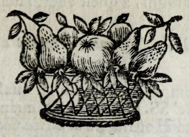 An illustration from Roma antica e moderna : nella quale si contengono chiese, monasterij, hospedali, compagnie, collegij e seminarij : tempij, teatri, anfiteatri, naumachie, cerchi, fori, curie, palazzi e statue : librarie, musei, pitture, scolture, & i nomi de gli artifici : indice de' sommi pontefici, imperatori, rè, e duchi : con vna copiosissima tauola, e aggiunta di tutte le cose notabili fatte sino al presente, 1677, leaf 653