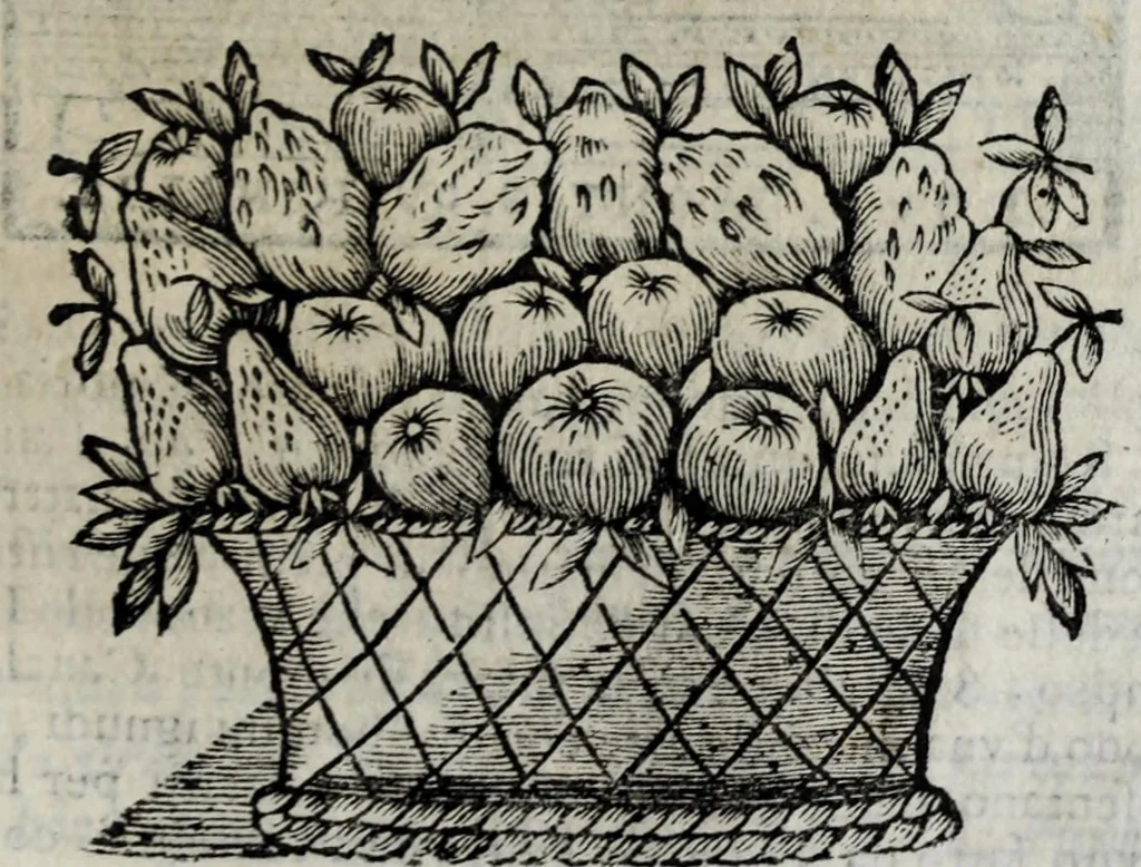 An illustration from Roma antica e moderna : nella quale si contengono chiese, monasterij, hospedali, compagnie, collegij e seminarij : tempij, teatri, anfiteatri, naumachie, cerchi, fori, curie, palazzi e statue : librarie, musei, pitture, scolture, & i nomi de gli artifici : indice de' sommi pontefici, imperatori, rè, e duchi : con vna copiosissima tauola, e aggiunta di tutte le cose notabili fatte sino al presente, 1677, leaf 709