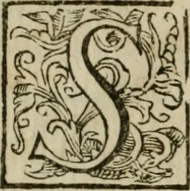 An illustration from Roma antica, 1666, leaf 11