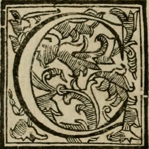 An illustration from Roma antica, 1666, leaf 15