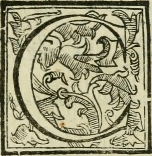 An illustration from Roma antica, 1666, leaf 240