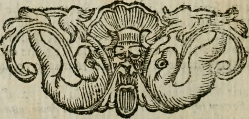 An illustration from Roma antica, 1666, leaf 351