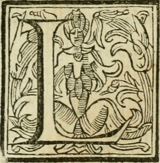 An illustration from Roma antica, 1666, leaf 352