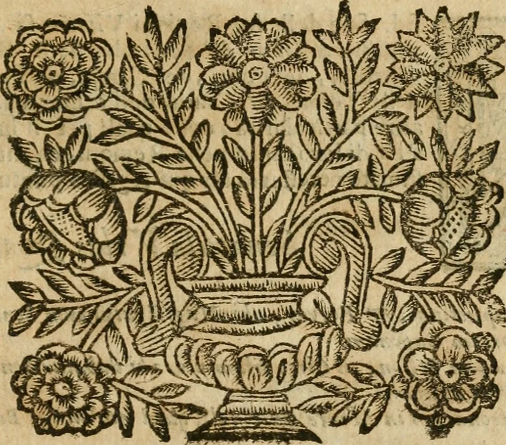 An illustration from Roma antica, 1666, leaf 524